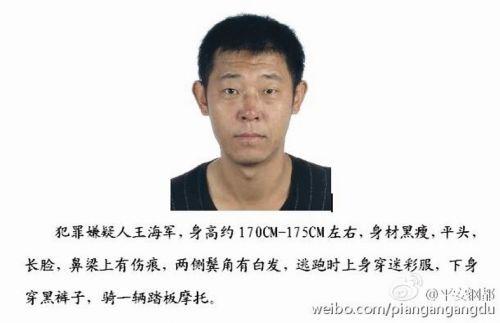 22"海城市恶性杀人案件告破!王海军死了