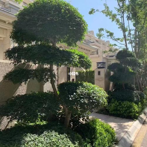 郑东新区别墅_别墅_商业财经_楼市资讯
