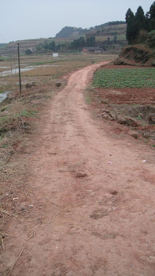 金堂县竹篙镇凤凰村融资建设项目