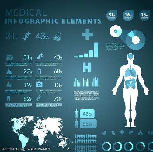 人体解剖信息图表