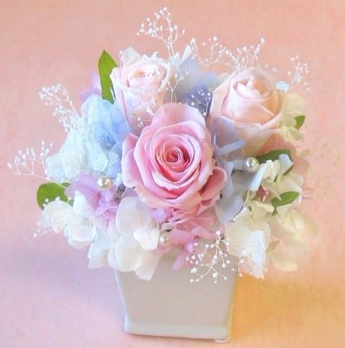 微信鲜花头像图片大全