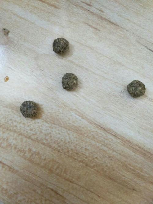 兔子的便便这样正常吗 感觉又大又干