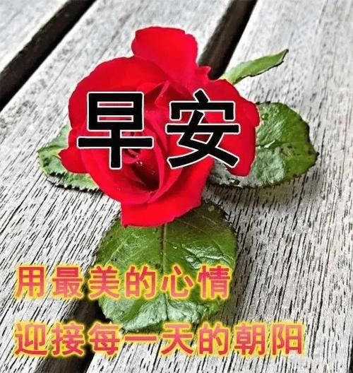 早上好朋友早上好带字动图问候图片大全会动的早安图片祝福语精选