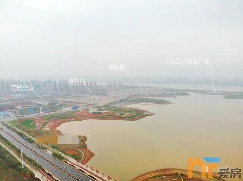 九龙湖公园二期即将完工!下半年全开放!喷泉广场终于开工了!