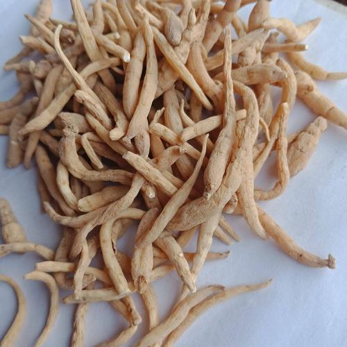 太子参 地道中药材太子参 无硫原色太子参