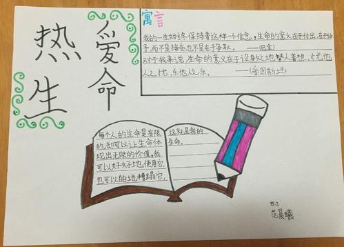 珍爱生命的脆弱手抄报 珍爱生命的手抄报