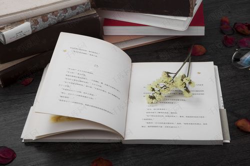 翻开的书籍摄影图