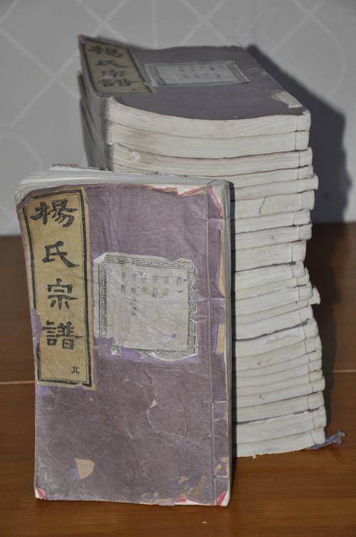 诸暨倪杨氏