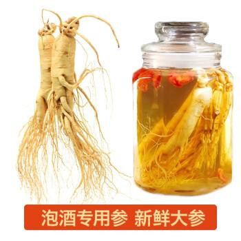 山领域长白山人参鲜人参保鲜参大参200g支泡酒参煲汤参保鲜大参1支装