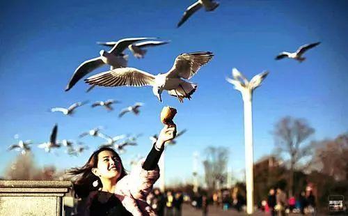 征文选登和谐之美