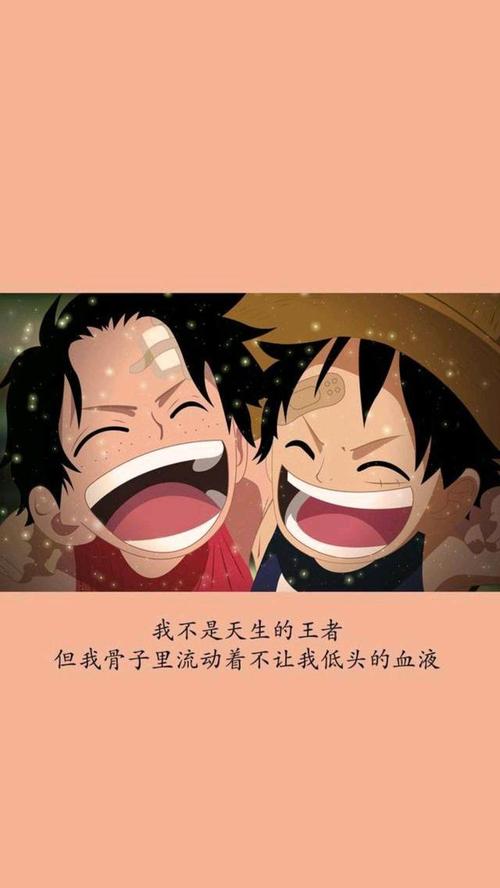 二次元壁纸,14张高清的海贼王壁纸,喜欢的快收下