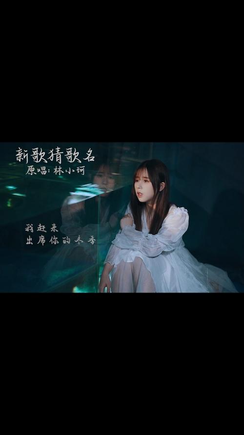 原创##林小珂##新歌猜歌名#如果放弃真的那么容易,谁会选择卑微的