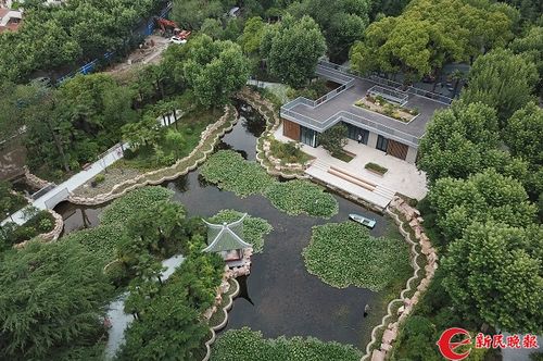 曹杨公园,兰溪青年公园"微更新"后开门迎客