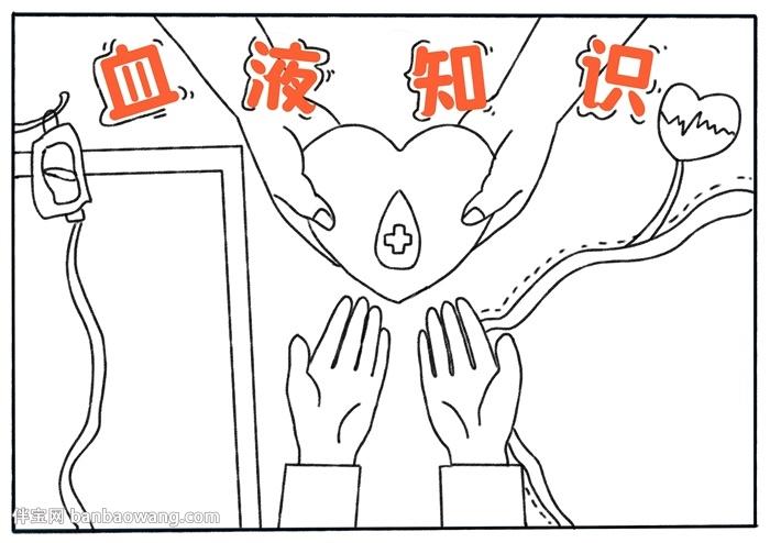 关于血液知识的手抄报