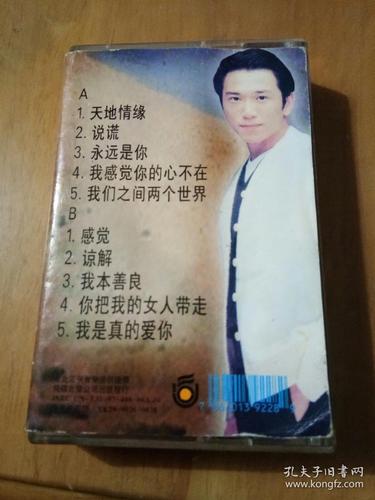 磁带: 温兆伦 天地情缘