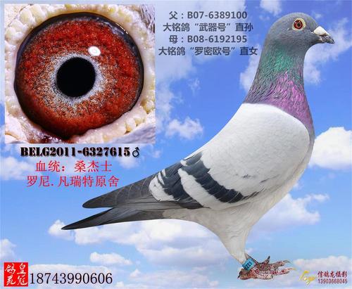 凡瑞特公爵(罗尼.凡瑞特原舍)