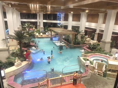 齐河孔雀王_温泉_晚餐_小朋友_餐厅_泡温泉_出行_出行