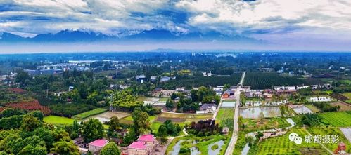 郫都区唐昌镇先锋村(农夫记忆广场)展览地址(每天上午九点至下午五点)