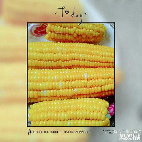 回到家里把栗米洗干净,放入蒸笼,电饭煲加入适量的水,按下蒸煮键设置