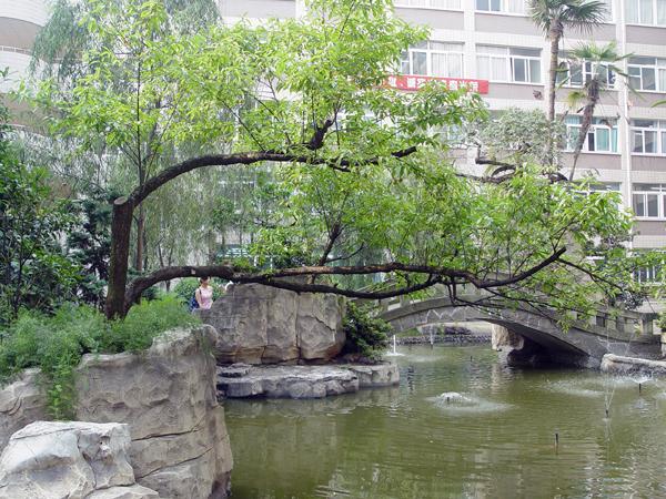 重庆工商大学