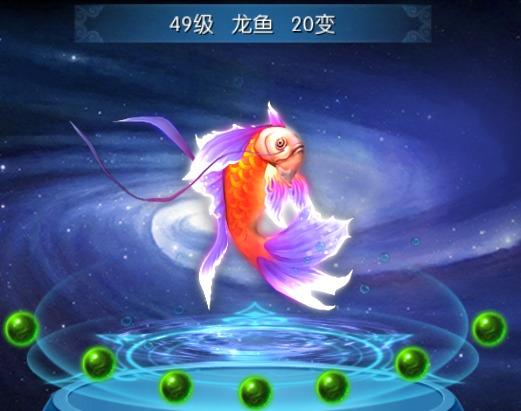 第四阶段:鲤龙