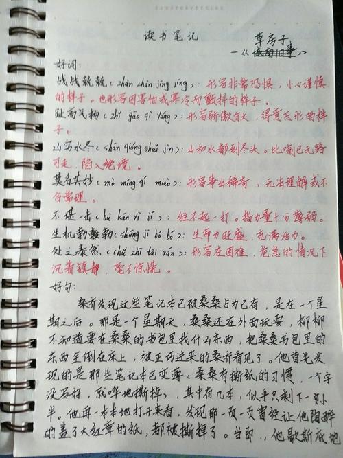 706孟凡淇《草房子》读书笔记及读后感