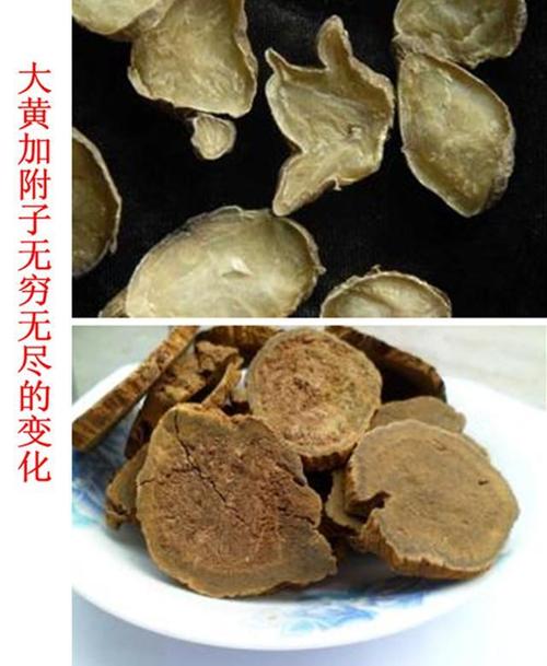 3,大黄附子汤证