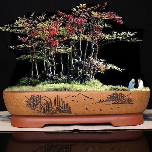 盆景花盆长方形紫砂假山盆栽造景宜兴