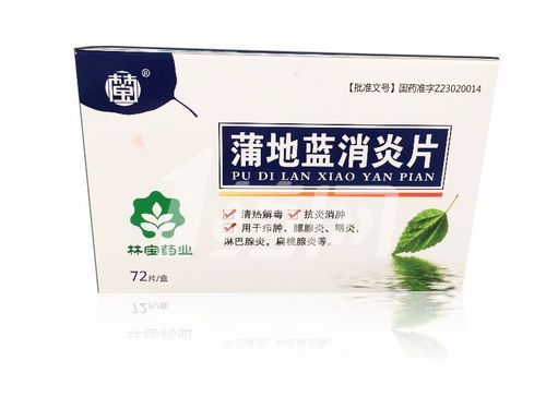 林宝药业 蒲地蓝消炎片 0.24g*12片*6板
