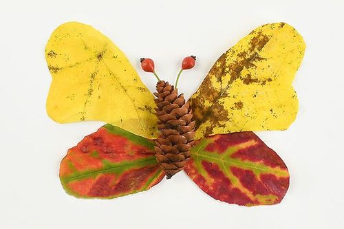 如果外观看起来不理想,可以修剪某些叶子,或换掉某些树叶.