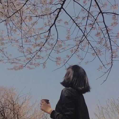 头像背影侧脸粉丝求图