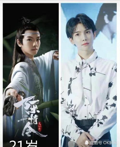 陈情令,南极,思追,蓝思追,江澄,聂怀桑,纪李