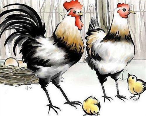 属鸡的今年适合结婚吗 本命年结婚有什么讲究