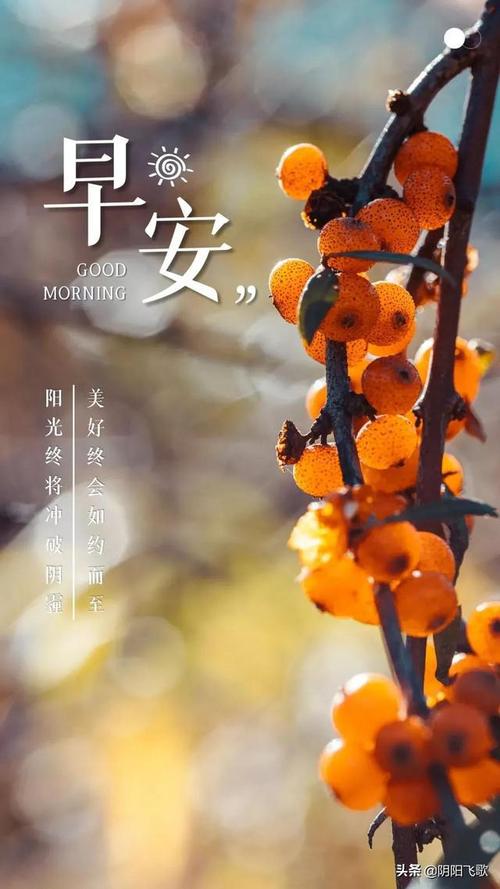 今日头条早安你好