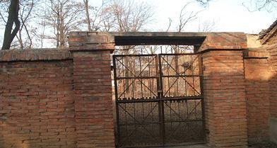 我家的院子大门,红砖,黑门,曾经是村子里很洋气的门哦!