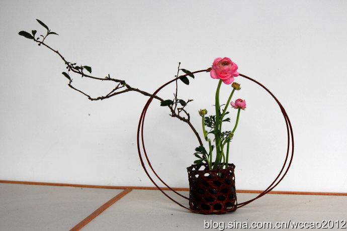 插花盆景的魅力