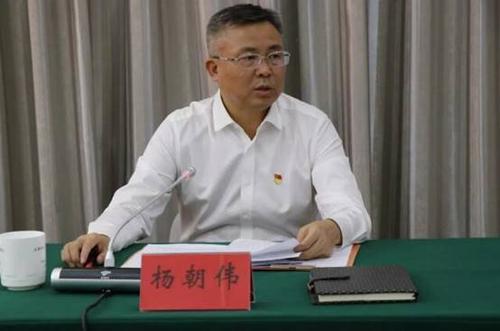 杨朝伟主持会议并讲话