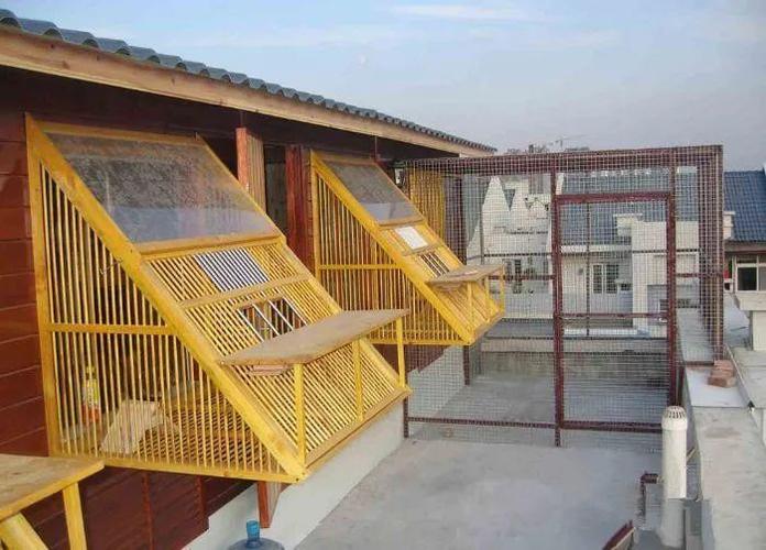 新手建鸽舍,必须要建成这样!