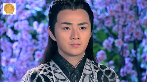 余少群明星资料大全-余少群动态_余少群电视剧电影-爱