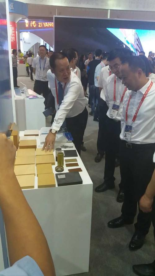 市经信委党组书记,主任徐明远向市委副书记,代市长何树平介绍展品