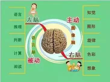与大脑共同成长的手抄报 关于成长的手抄报