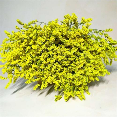 【水晶草】 斗南鲜花 配花专用黄水晶 彩水晶鲜切花.干花批发