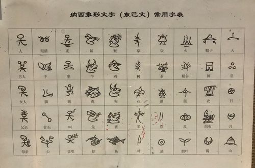 东巴文常用字有1400个左右,词语丰富细腻,能说明复杂的万事万物,还能