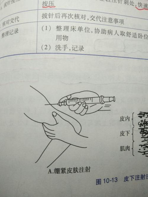 就是胳膊叉腰,上面有个三角形的肌肉,边缘处打. 腹部:如图
