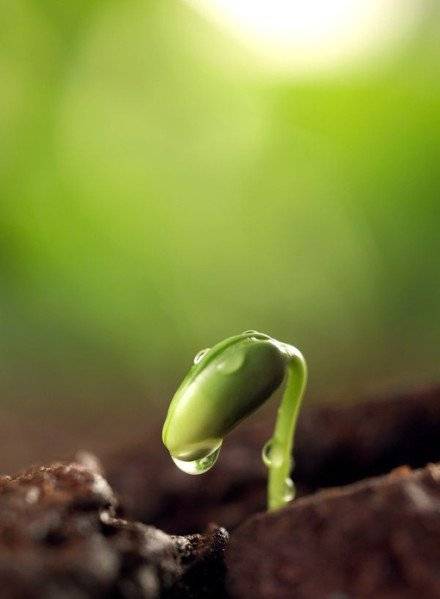 人生那不期而遇的温暖和生生不息的希望