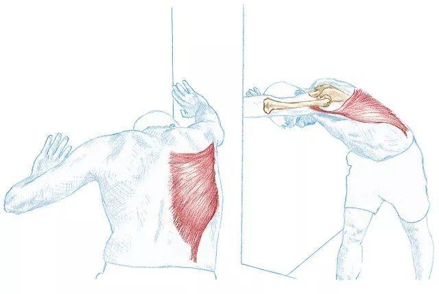 【游泳热身】冬日游泳:泳前不拉伸,泳后徒伤悲