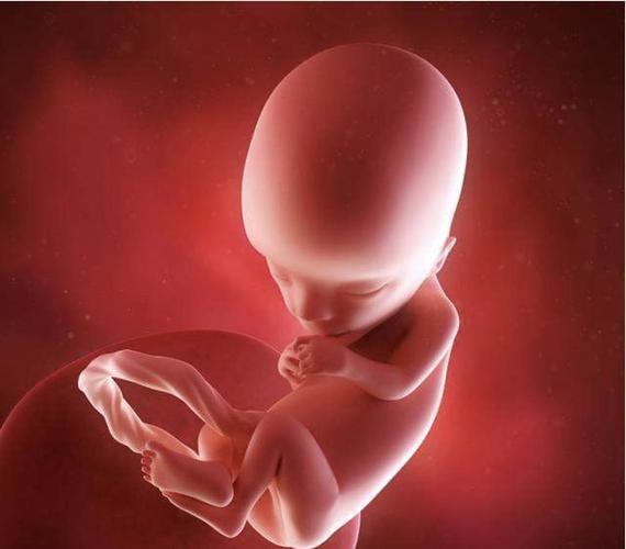 怀孕38周生的宝宝跟40周生的区别大吗,这两周胎儿发育