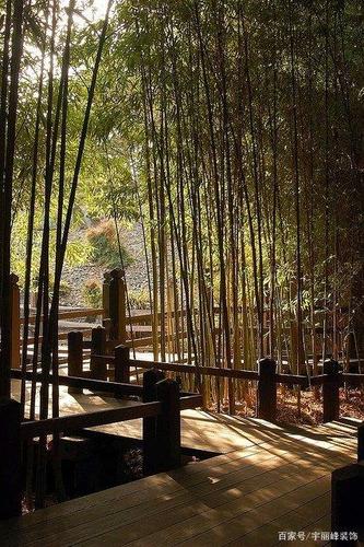 景观· 竹林造景之美