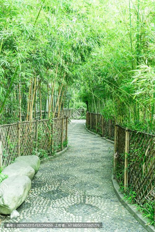 竹林小路