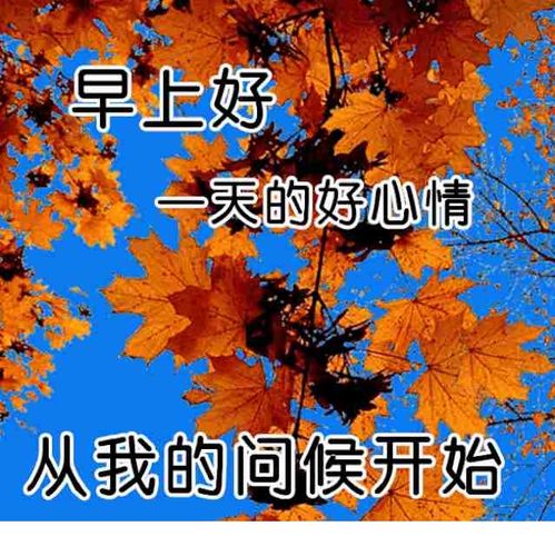 早上好温馨祝福,早安,愿你一天好心情! 飞扬头条_飞扬